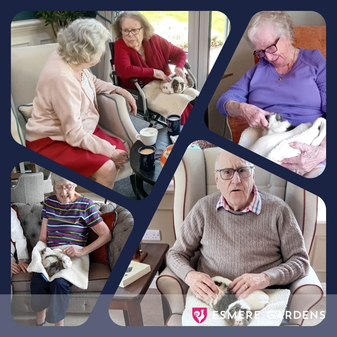 Bringing Joy with Every Wag at Esmere Gardens