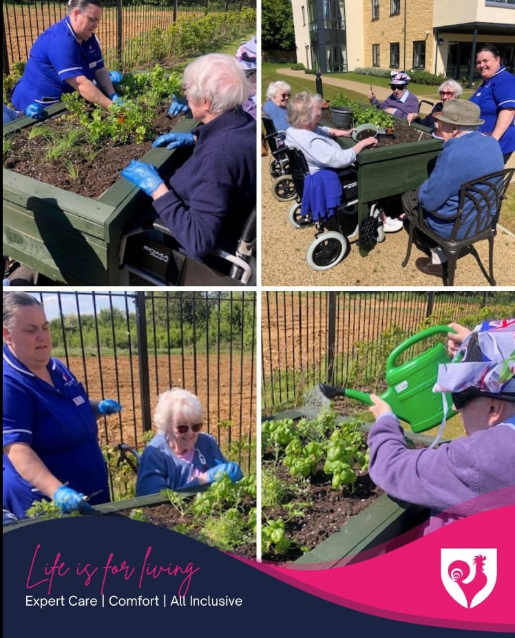Wheelchair-Friendly Planter